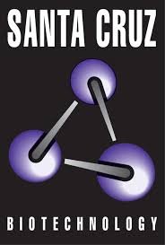 Santa cruz